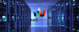 webternity_background_logo
